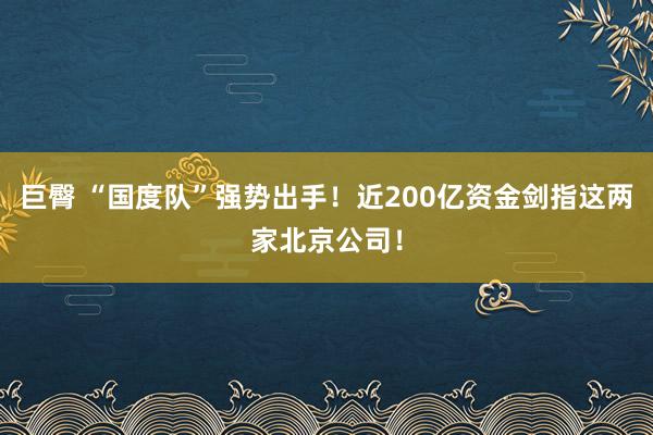 巨臀 “国度队”强势出手!近200亿资金剑指这两家北京公司!