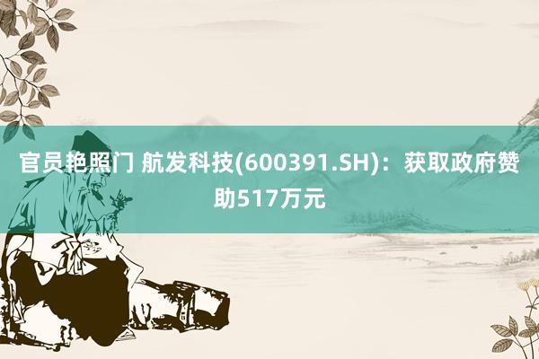官员艳照门 航发科技(600391.SH):获取政府赞助517万元