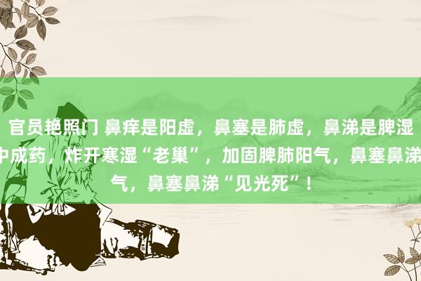 官员艳照门 鼻痒是阳虚,鼻塞是肺虚,鼻涕是脾湿!1个鼻炎中成药,炸开寒湿“老巢”,加固脾肺阳气,鼻塞鼻涕“见光死”!