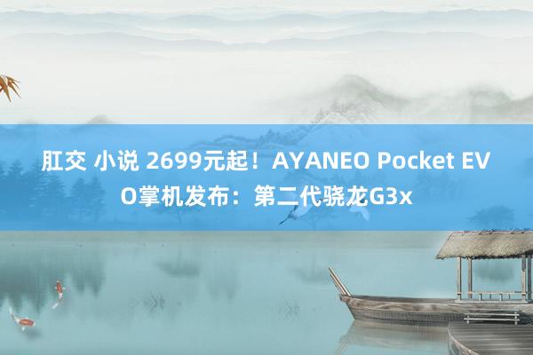 肛交 小说 2699元起!AYANEO Pocket EVO掌机发布:第二代骁龙G3x