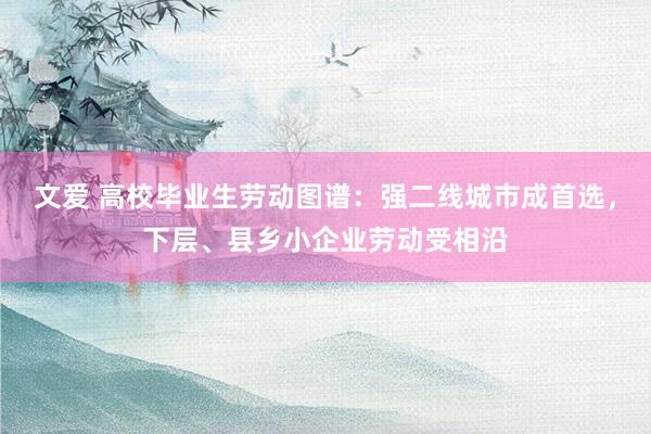 文爱 高校毕业生劳动图谱:强二线城市成首选,下层、县乡小企业劳动受相沿