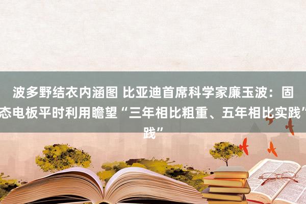 波多野结衣内涵图 比亚迪首席科学家廉玉波:固态电板平时利用瞻望“三年相比粗重、五年相比实践”