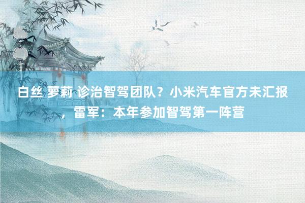 白丝 萝莉 诊治智驾团队?小米汽车官方未汇报,雷军:本年参加智驾第一阵营
