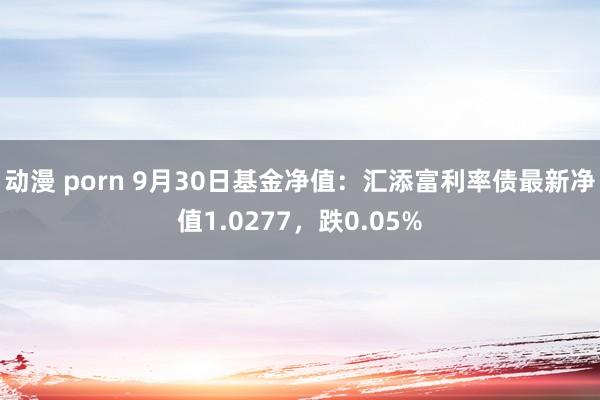 动漫 porn 9月30日基金净值:汇添富利率债最新净值1.0277,跌0.05%