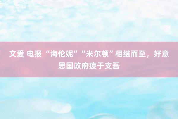 文爱 电报 “海伦妮”“米尔顿”相继而至,好意思国政府疲于支吾