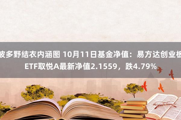 波多野结衣内涵图 10月11日基金净值:易方达创业板ETF取悦A最新净值2.1559,跌4.79%