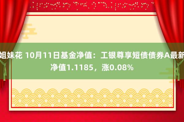 姐妹花 10月11日基金净值:工银尊享短债债券A最新净值1.1185,涨0.08%