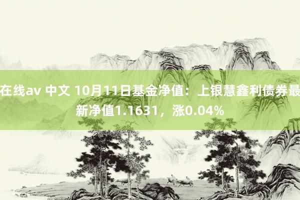 在线av 中文 10月11日基金净值:上银慧鑫利债券最新净值1.1631,涨0.04%
