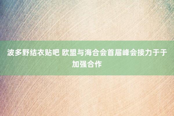 波多野结衣贴吧 欧盟与海合会首届峰会接力于于加强合作