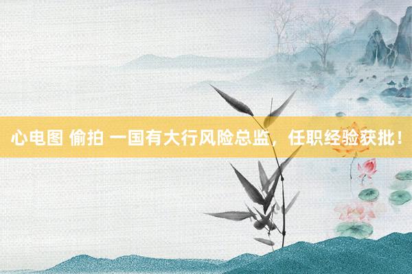 心电图 偷拍 一国有大行风险总监,任职经验获批!