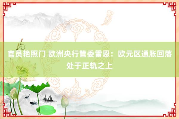 官员艳照门 欧洲央行管委雷恩:欧元区通胀回落处于正轨之上