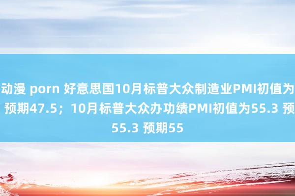 动漫 porn 好意思国10月标普大众制造业PMI初值为47.8 预期47.5;10月标普大众办功绩PMI初值为55.3 预期55