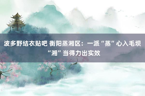 波多野结衣贴吧 衡阳蒸湘区:一派“蒸”心入毛坝 “湘”当得力出实效