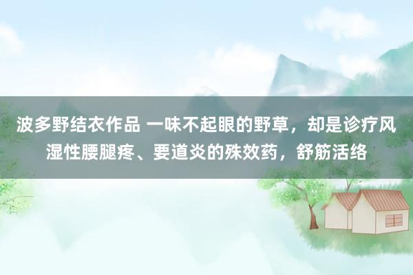 波多野结衣作品 一味不起眼的野草,却是诊疗风湿性腰腿疼、要道炎的殊效药,舒筋活络