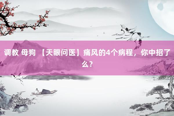 调教 母狗 【天眼问医】痛风的4个病程,你中招了么?