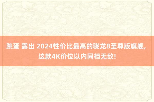 跳蛋 露出 2024性价比最高的骁龙8至尊版旗舰, 这款4K价位以内同档无敌!