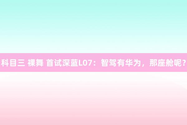 科目三 裸舞 首试深蓝L07:智驾有华为,那座舱呢?