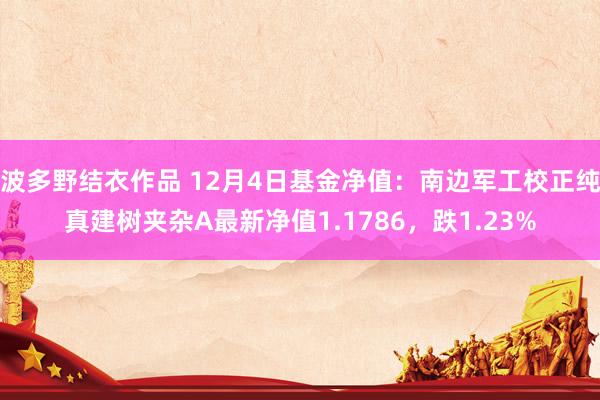 波多野结衣作品 12月4日基金净值:南边军工校正纯真建树夹杂A最新净值1.1786,跌1.23%