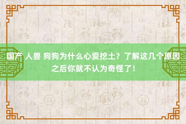 国产 人兽 狗狗为什么心爱挖土?了解这几个原因之后你就不认为奇怪了!