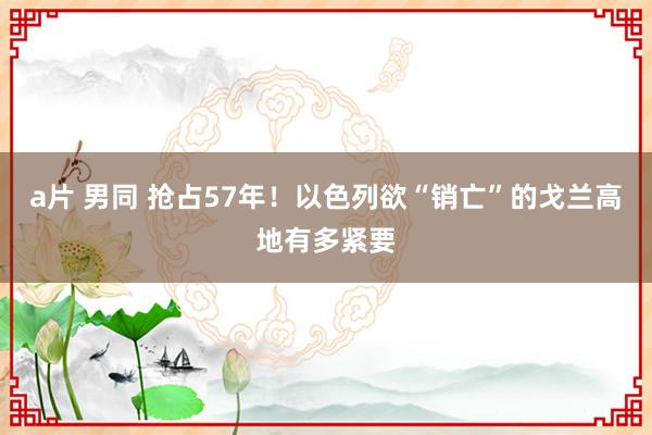 a片 男同 抢占57年!以色列欲“销亡”的戈兰高地有多紧要