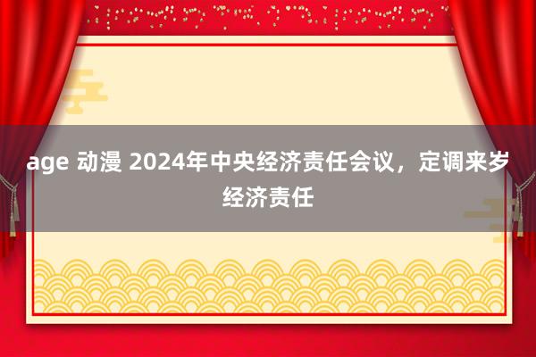 age 动漫 2024年中央经济责任会议,定调来岁经济责任