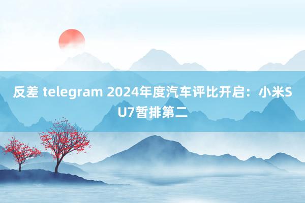 反差 telegram 2024年度汽车评比开启:小米SU7暂排第二