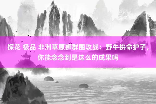 探花 极品 非洲草原狮群围攻战:野牛拚命护子,你能念念到是这么的成果吗