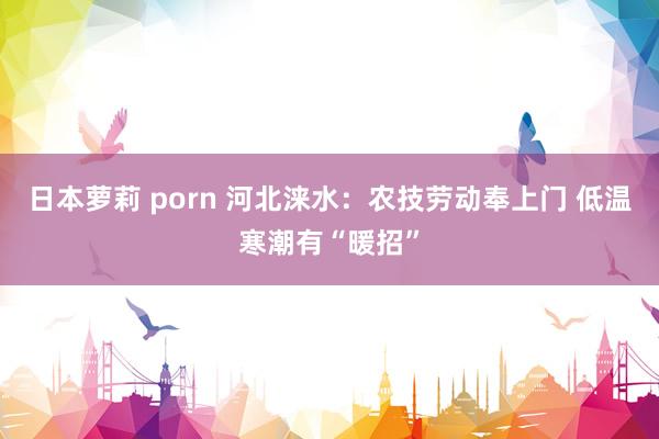 日本萝莉 porn 河北涞水:农技劳动奉上门 低温寒潮有“暖招”