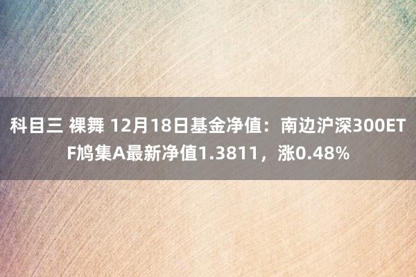 科目三 裸舞 12月18日基金净值:南边沪深300ETF鸠集A最新净值1.3811,涨0.48%
