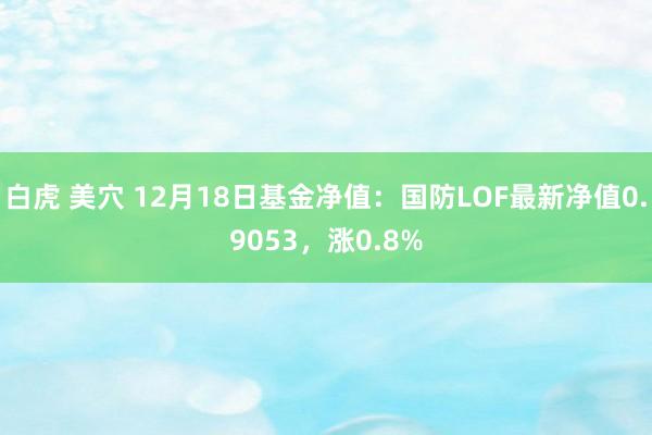 白虎 美穴 12月18日基金净值:国防LOF最新净值0.9053,涨0.8%