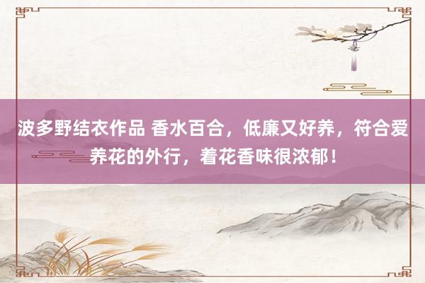 波多野结衣作品 香水百合,低廉又好养,符合爱养花的外行,着花香味很浓郁!