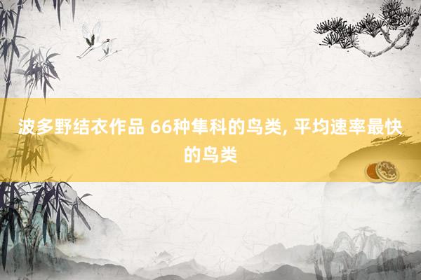 波多野结衣作品 66种隼科的鸟类, 平均速率最快的鸟类