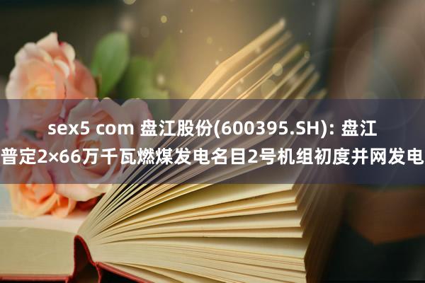 sex5 com 盘江股份(600395.SH): 盘江普定2×66万千瓦燃煤发电名目2号机组初度并网发电