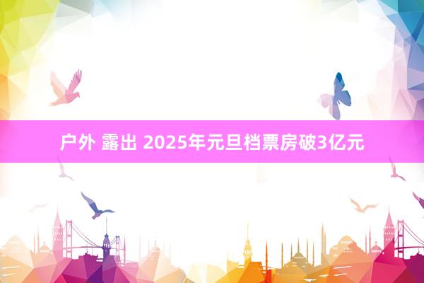 户外 露出 2025年元旦档票房破3亿元