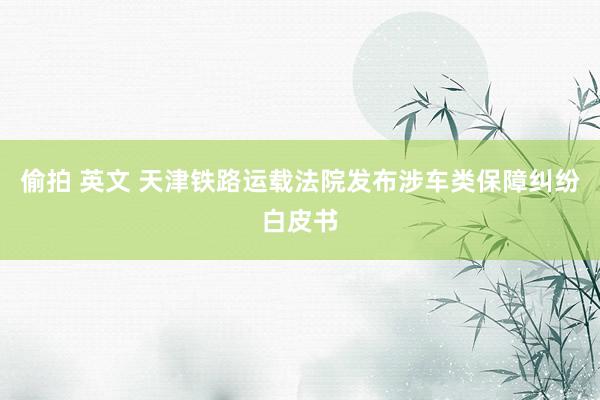 偷拍 英文 天津铁路运载法院发布涉车类保障纠纷白皮书