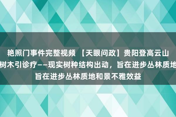 艳照门事件完整视频 【天眼问政】贵阳登高云山丛林公园砍伐树木引诊疗——现实树种结构出动,旨在进步丛林质地和景不雅效益