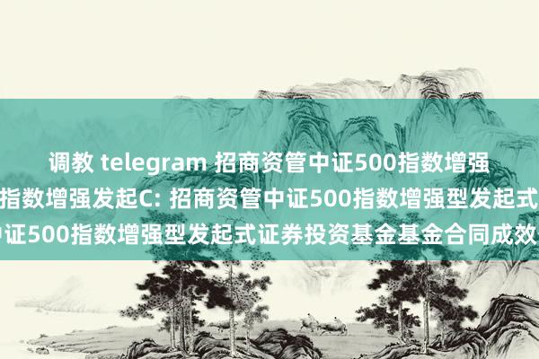 调教 telegram 招商资管中证500指数增强发起A,招商资管中证500指数增强发起C: 招商资管中证500指数增强型发起式证券投资基金基金合同成效公告