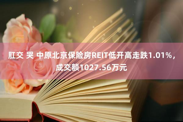 肛交 哭 中原北京保险房REIT低开高走跌1.01%,成交额1027.56万元