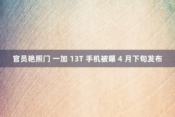 官员艳照门 一加 13T 手机被曝 4 月下旬发布