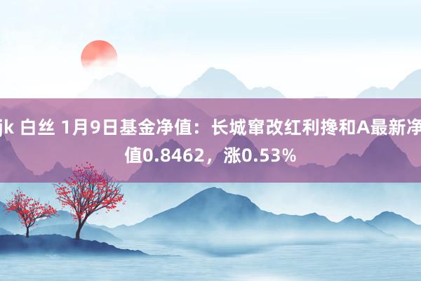 jk 白丝 1月9日基金净值：长城窜改红利搀和A最新净值0.8462，涨0.53%