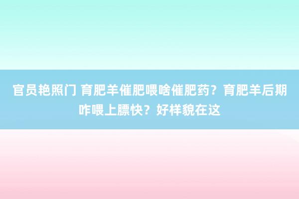官员艳照门 育肥羊催肥喂啥催肥药?育肥羊后期咋喂上膘快?好样貌在这