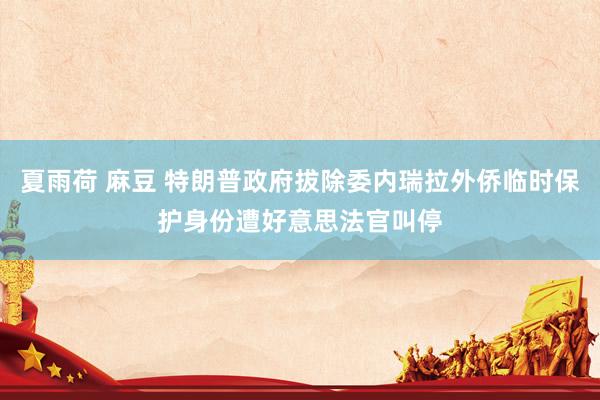 夏雨荷 麻豆 特朗普政府拔除委内瑞拉外侨临时保护身份遭好意思法官叫停