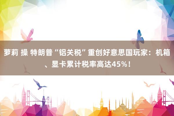 萝莉 操 特朗普“铝关税”重创好意思国玩家:机箱、显卡累计税率高达45%!
