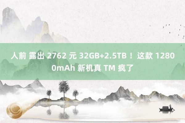 人前 露出 2762 元 32GB+2.5TB !这款 12800mAh 新机真 TM 疯了