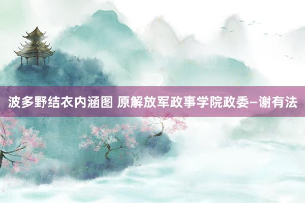 波多野结衣内涵图 原解放军政事学院政委—谢有法