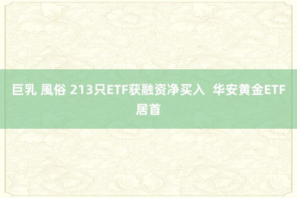 巨乳 風俗 213只ETF获融资净买入  华安黄金ETF居首