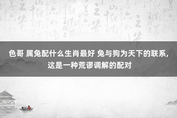 色哥 属兔配什么生肖最好 兔与狗为天下的联系, 这是一种荒谬调解的配对